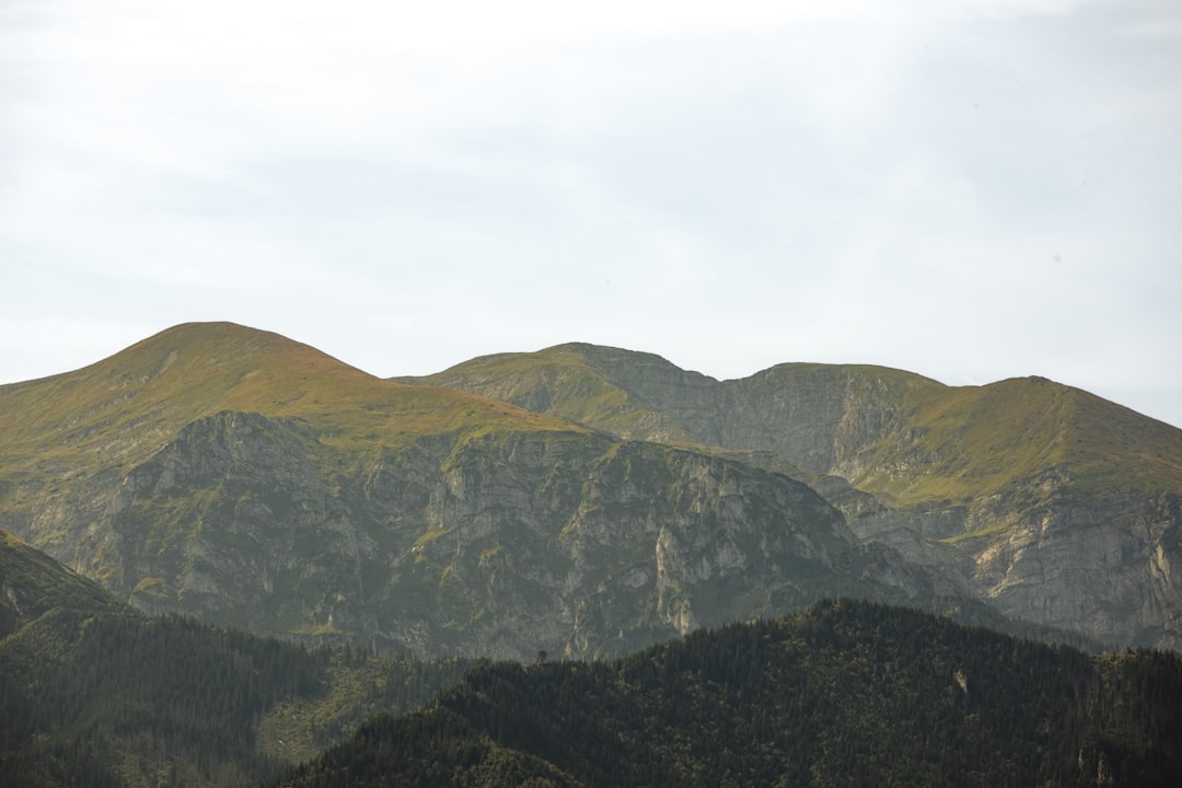 Photo RCA vs CASCO difference