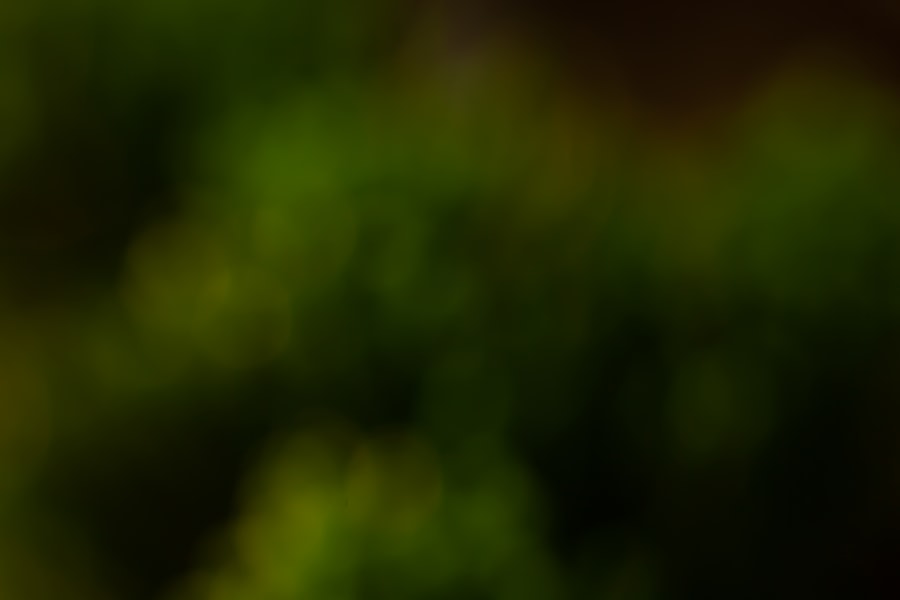 Photo verifici kilometrii reali