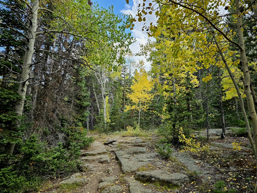 Photo mountain trails