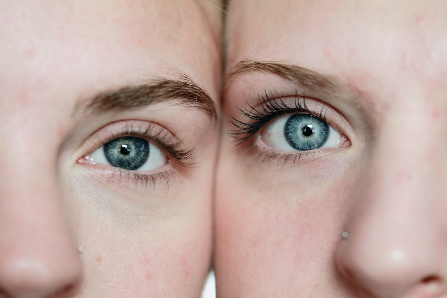 perception