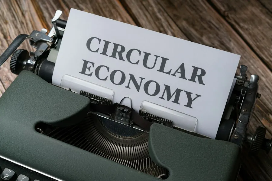 economics explained simply infographic
