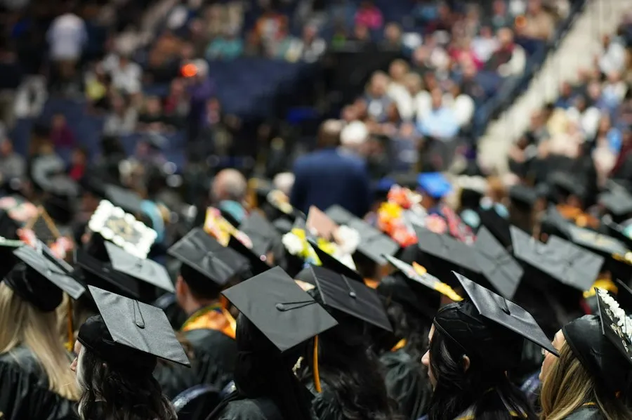 education and labor market overview