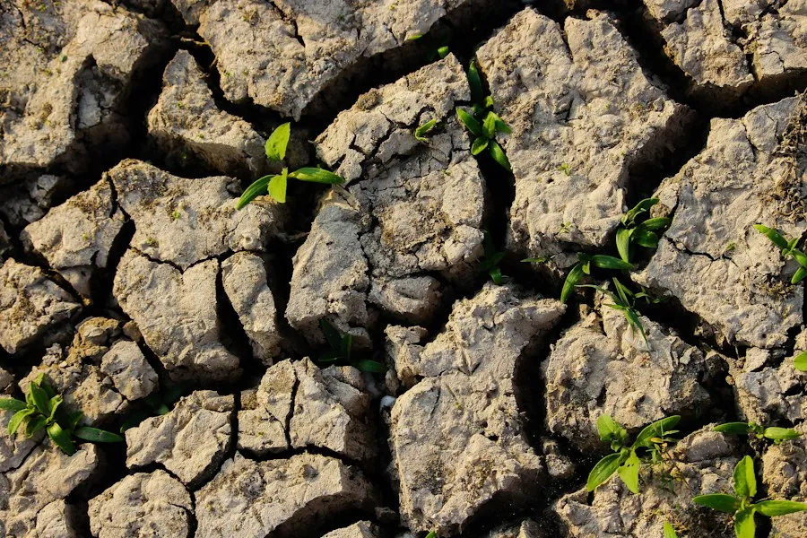 common climate change mistakes